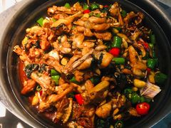 -蛙小侠(古镇大信新都汇店)