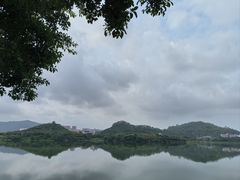 -立新湖公园