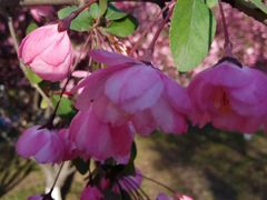 -祥源·阜阳生态乐园