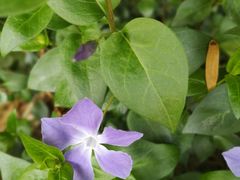 -苏州河梦清园环保主题公园