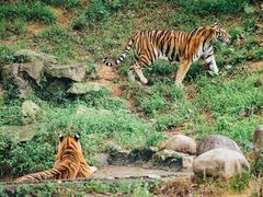 -杭州野生动物世界