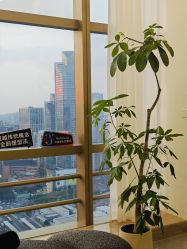 -JNK皮肤管理中心