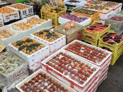 -西郊国际农产品交易中心