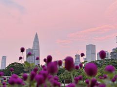 -深圳湾万象城(南山店)