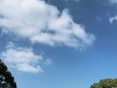 -昆山城市生态森林公园