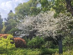 -杭州香格里拉·香宫中餐厅