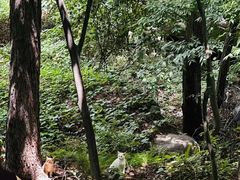 -崂山九水游览区
