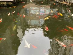-三禾国际酒店