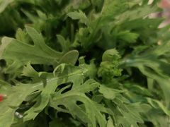 -宴全牛粤来越牛潮汕鲜牛肉火锅(海州万达广场店)