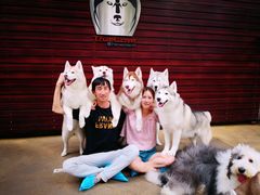 -TrueLove @ Neverland (Husky Cafe)