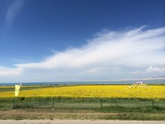 -青海湖国家重点风景名胜区