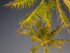 -西秀海滩公园