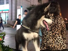 -沙洲路步行街(长安南路店)