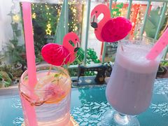 -Jo's Garden