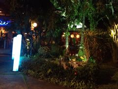 -Kinnaree by Vanessa WU