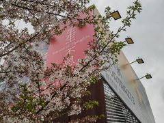 -龙美术馆(西岸馆)