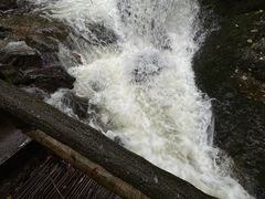 -牛背梁国家森林公园