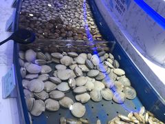-澜悦港海鲜体验主题餐厅