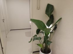 -美丽妈妈产后恢复中心(三林店)