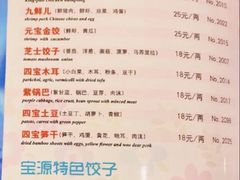 菜单-宝源饺子(麦子店街店)