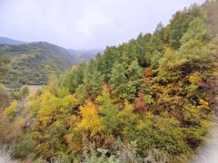 -云顶山风景区