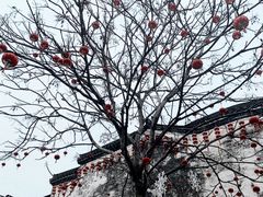 -黎阳老街