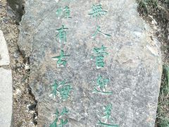 -香雪海