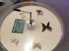 -陕西自然博物馆