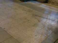 -红鼎坊·老成都火锅(新南门店)