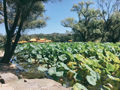 -承德避暑山庄景区