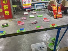 -顺德大良半月城游乐场