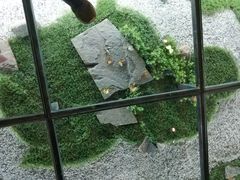 -青藏高原自然博物馆