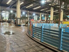 -南宫温泉水世界