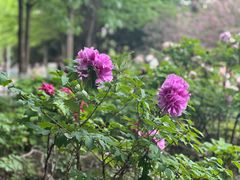 -幕燕滨江·长江观音景区