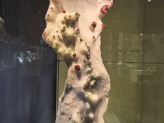 -中华赏石园