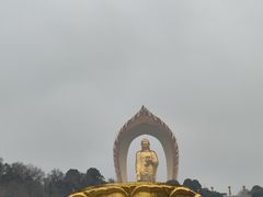 -庐山风景名胜区-东林大佛