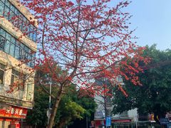 -云溪植物园