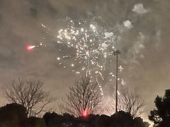 -顾村公园3号门停车场