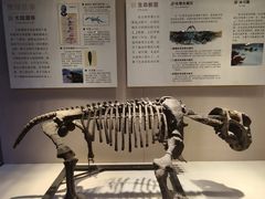 -广东省博物馆