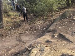 -灵岩山风景区