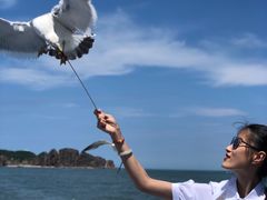 -海驴岛(荣成市)