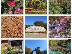 -国家植物园