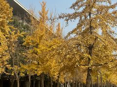 -四川大学(江安校区)