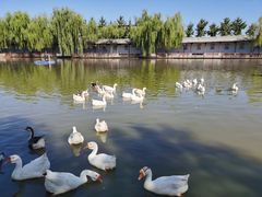 -河北村民俗体验园