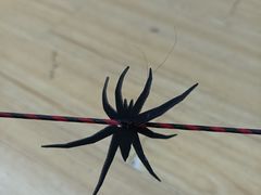 -道顺射箭·团建·骑射(张杨路店)