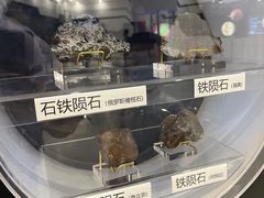 -上海儿童博物馆