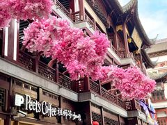 -Peet's Coffee皮爷咖啡(豫园店)