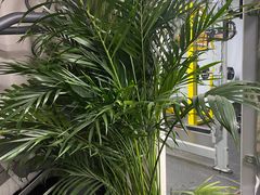 -悦健身私教工作室(双井店)