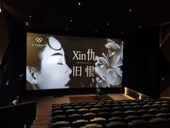 -英皇电影城(平安金融中心IMAX激光店)