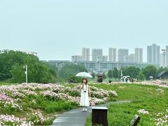 -洋湖国家湿地公园